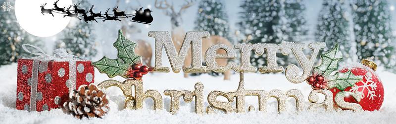 Guangzhou Minglai Packaging Merry Christmas to all of you kind guys.jpg